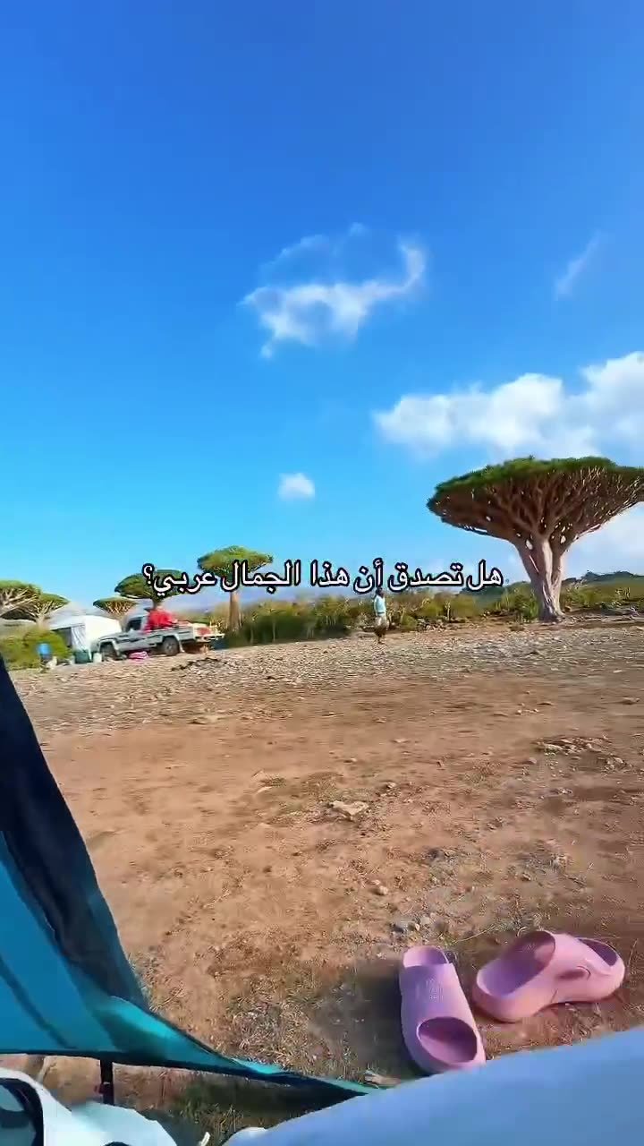 Video: Socotra island reel